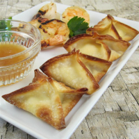 CAN YOU BAKE WONTON WRAPPERS RECIPES