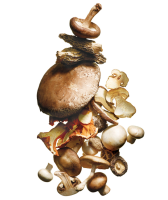 Mushroom Stir-Fry Recipe - NYT Cooking image