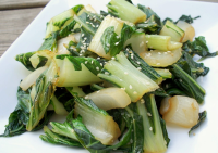 WHAT TO DO WITH LARGE BOK CHOY RECIPES