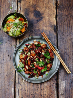 INGREDIENTS IN KUNG PAO CHICKEN RECIPES