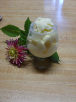 Lemonade Ice Cream Recipe - Food.com image