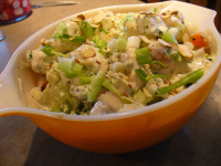 Asian/Oriental Cabbage Salad Recipe - Food.com image