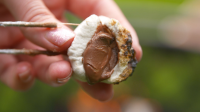 Best Rolo Stuffed Marshmallows Recipe - How to Rolo ... image