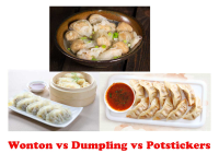 Wonton vs Dumpling vs Potstickers - Yum Of China image