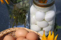 SPICES FOR EGGS RECIPES
