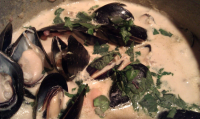Creamy Mussel Soup Recipe - Food.com image