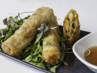 SPRING ROLL APPETIZERS RECIPES