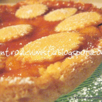 Orange Marmalade Pie Recipe | Yummly image