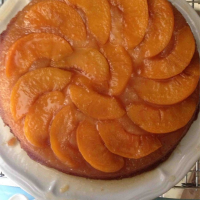 UPSIDE DOWN PEACH CAKE WITH CANNED PEACHES RECIPES