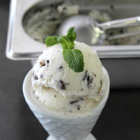 Mint-Chip Coconut Milk Ice Cream Recipe | Allrecipes image
