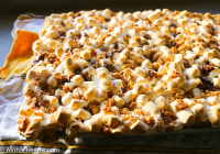 S'MORES BARS FOR A CROWD RECIPES