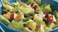 Romaine Salad with Apples and Cranberries Recipe ... image