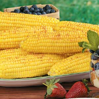 Roasted Corn on the Cob Recipe: How to Make It image