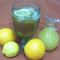 Citrus Iced Tea Recipe - Food.com image