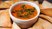 TOSTITOS CHEESE AND SALSA DIP RECIPES