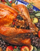 Turkey with Fruit and Nut Stuffing Recipe | Martha Stewart image