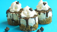 MINI CHEESECAKE WITH COOKIE CRUST RECIPES