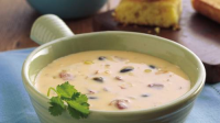 SOUTHWEST CHEESE SOUP RECIPES