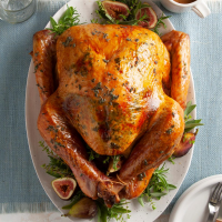 ROAST TURKEY WITH CHEESECLOTH RECIPES