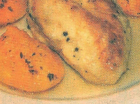 CHICKEN BREASTS WITH CLING PEACHES | Just A Pinch Recipes image