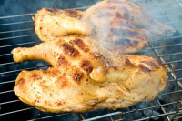HOW TO GRILL HALF CHICKEN ON GAS GRILL RECIPES