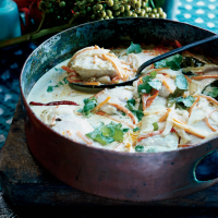 Mahimahi Coconut Curry Stew with Carrots and Fennel Recipe ... image