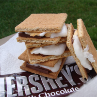 SMORES WITHOUT GRAHAM CRACKERS RECIPES
