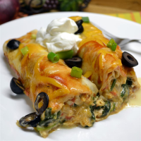CHICKEN AND SPINACH ENCHILADAS WITH RED SAUCE RECIPES