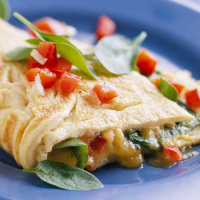 SPINACH AND CHEESE OMELETTE RECIPES