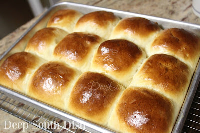 Deep South Dish: Old School Cafeteria-Style Yeast Rolls image