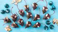 Chocolate Christmas Mice (Or Anytime Mice) Recipe - Food.com image