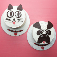 Furry Friends Cake Recipe: How to Make It image