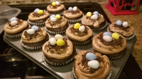 Carlee's Celebrate Spring Cupcakes | Allrecipes image