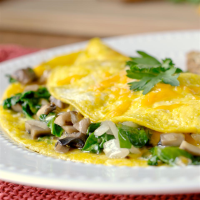 SPINACH AND MUSHROOM OMELET RECIPES