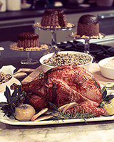 Rotisserie Turkey on the Grill Recipe | Martha Stewart image