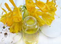 HOW MUCH CANOLA OIL TO SUBSTITUTE FOR BUTTER RECIPES