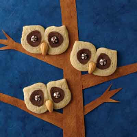 Brown-Eyed Owl Cookies Recipe | Land O’Lakes image