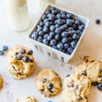 CHOCOLATE CHIP BLUEBERRY COOKIES RECIPES