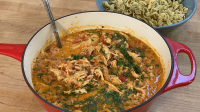 Pulled Chicken Paprikash Recipe with Egg Noodles From ... image