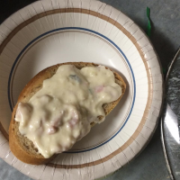 Anne's Hot Ham and Swiss Dip Recipe | Allrecipes image