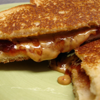 GRILLED PEANUT BUTTER AND JELLY SANDWICH RECIPE RECIPES