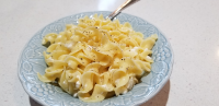 WHAT GOES WELL WITH EGG NOODLES RECIPES