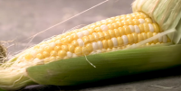Ear of corn - Graphic Recipes image
