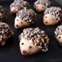 Hedgehog Cookies Recipe | Allrecipes image