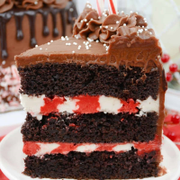 Chocolate Peppermint Cake - Everyday Eileen image