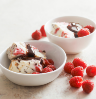 Raspberry-Chocolate Frozen Dessert | Better Homes & Gardens image