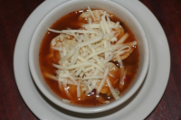 Chicken Salsa Soup With Tostitos and Mozzarella Cheese ... image