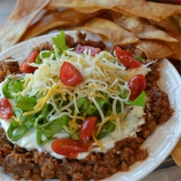 SALSA DIP WITH GROUND BEEF RECIPES