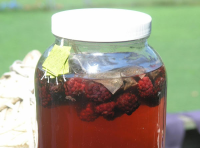 Blackberry Sun Tea | Just A Pinch Recipes image