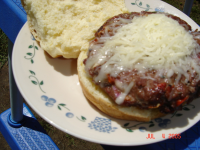 4 SLICES OF CHEESE ON A BURGER RECIPES